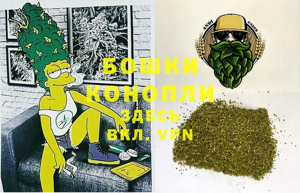 прущие грибы Алексеевка