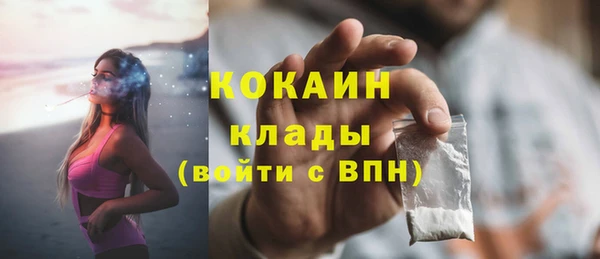 ПСИЛОЦИБИНОВЫЕ ГРИБЫ Пересвет