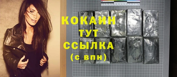 ПСИЛОЦИБИНОВЫЕ ГРИБЫ Пересвет
