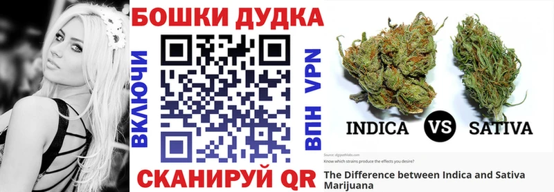 где купить Николаевск Марихуана AK-47